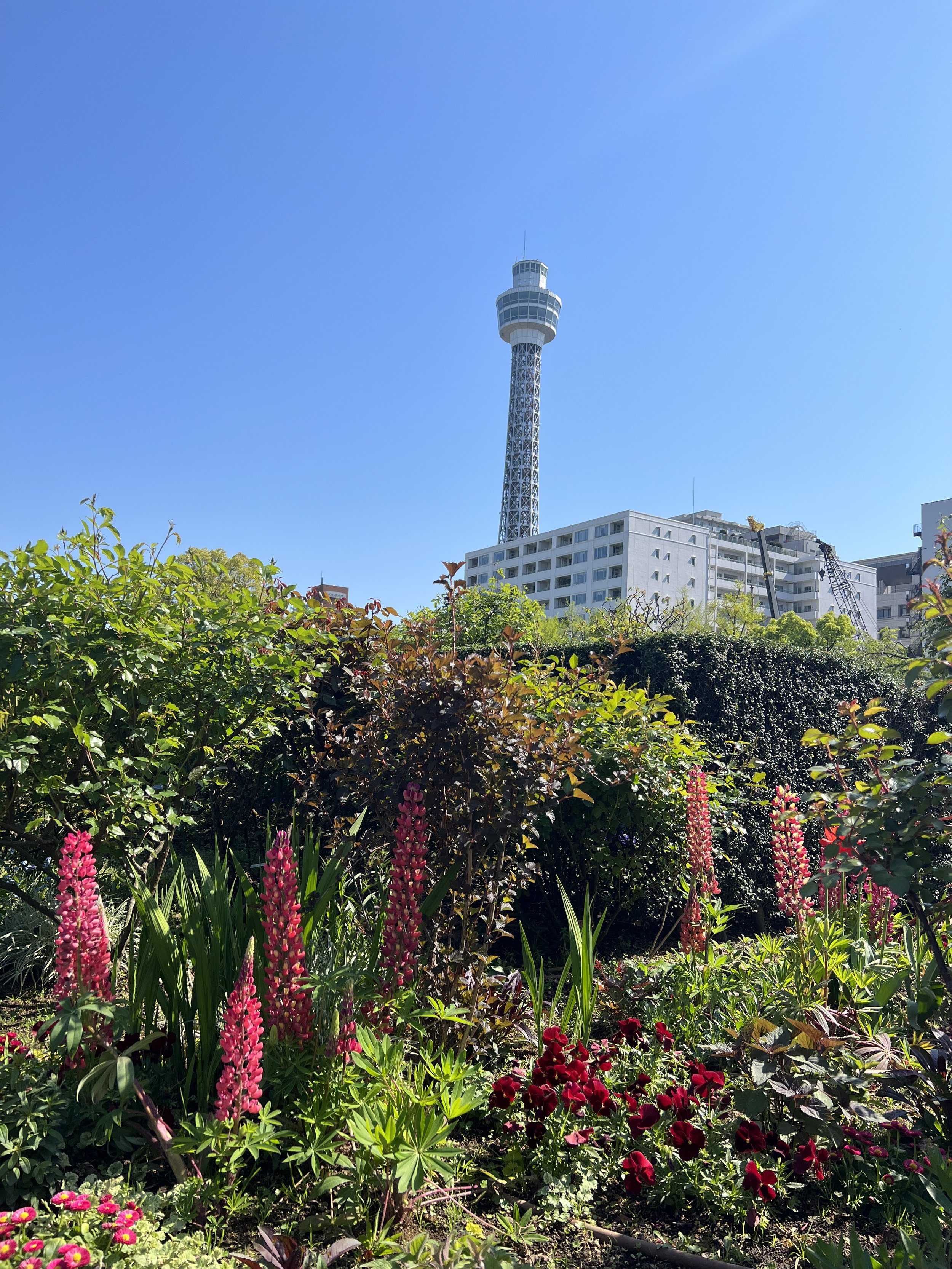 🏞️ 야마테 이탈리아 산 정원 이미지 7